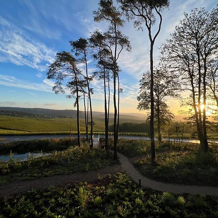 Loisium Wine & Spa Hotel Champagne Mutigny Exterior foto