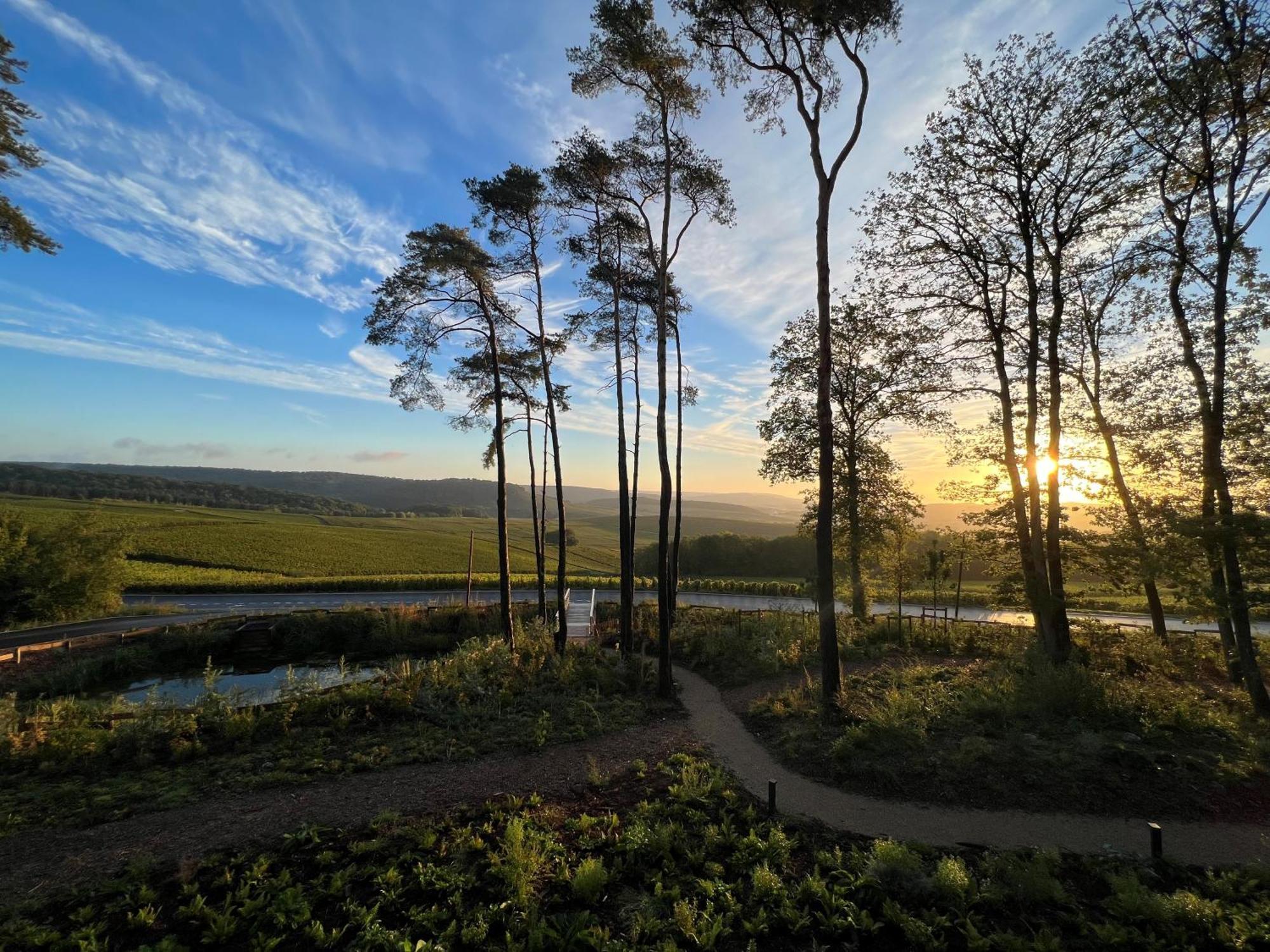 Loisium Wine & Spa Hotel Champagne Mutigny Exterior foto